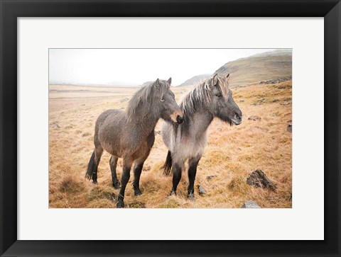 Framed Bjarni and Imir I Print