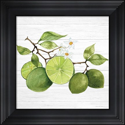 Framed Citrus Garden VII Shiplap Print