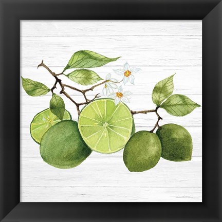 Framed Citrus Garden VII Shiplap Print