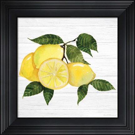 Framed Citrus Garden VI Shiplap Print