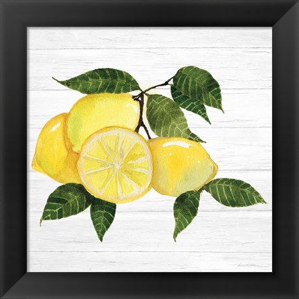 Framed Citrus Garden VI Shiplap Print