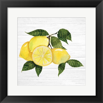 Framed Citrus Garden VI Shiplap Print