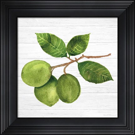 Framed Citrus Garden II Shiplap Print