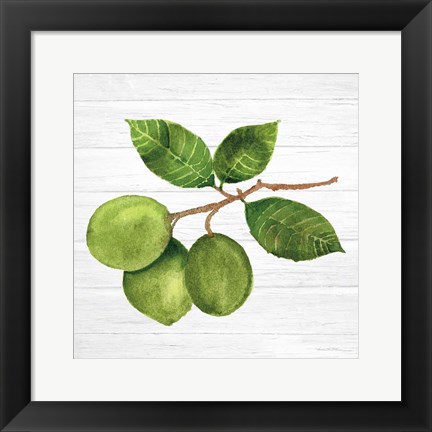 Framed Citrus Garden II Shiplap Print