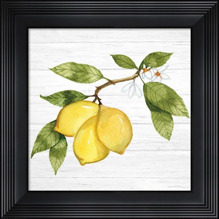 Framed Citrus Garden I Shiplap Print