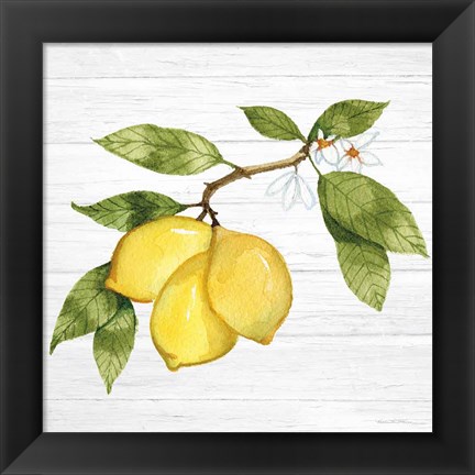 Framed Citrus Garden I Shiplap Print