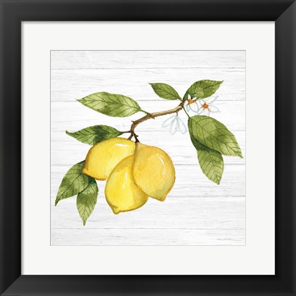 Framed Citrus Garden I Shiplap Print