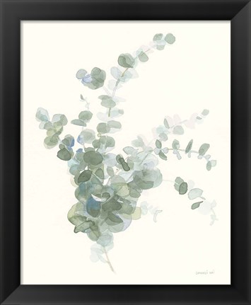 Framed Scented Sprig II Cool Print