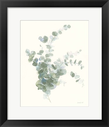 Framed Scented Sprig II Cool Print