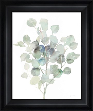 Framed Eucalyptus III Cool Print