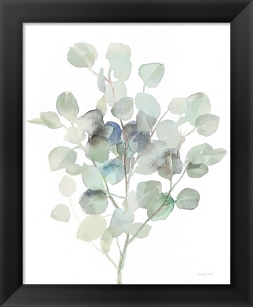 Framed Eucalyptus III Cool Print