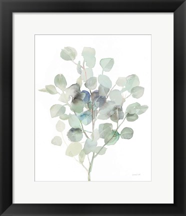 Framed Eucalyptus III Cool Print