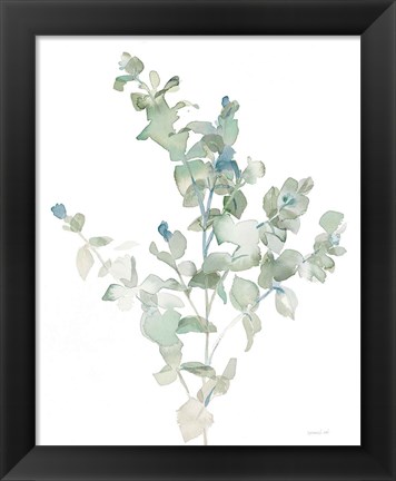 Framed Eucalyptus II Cool Print