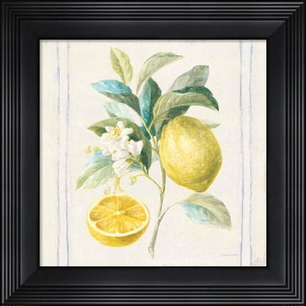 Framed Floursack Lemons IV Sq Navy Print
