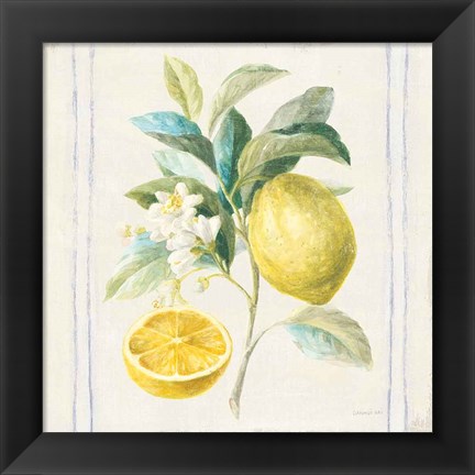 Framed Floursack Lemons IV Sq Navy Print