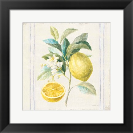 Framed Floursack Lemons IV Sq Navy Print