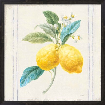 Framed Floursack Lemons III Sq Navy Print