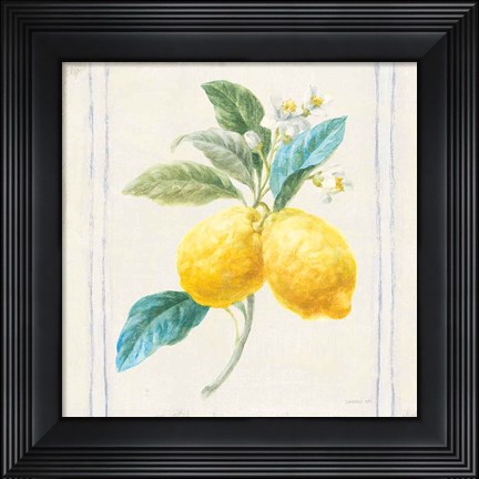 Framed Floursack Lemons III Sq Navy Print
