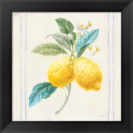 Framed Floursack Lemons III Sq Navy Print