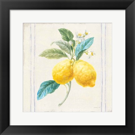 Framed Floursack Lemons III Sq Navy Print