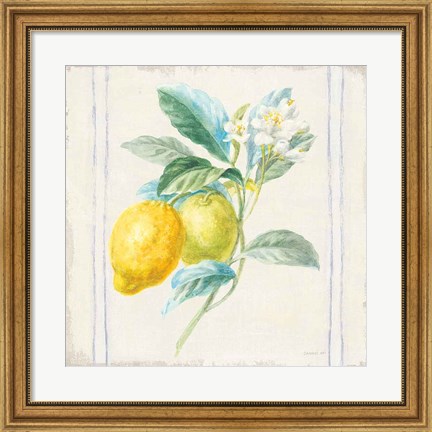 Framed Floursack Lemons II Sq Navy Print
