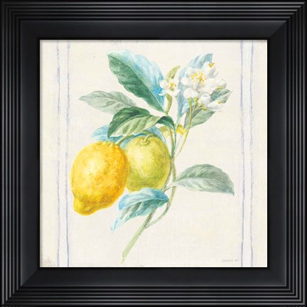 Framed Floursack Lemons II Sq Navy Print