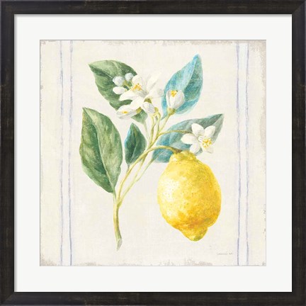 Framed Floursack Lemons I Sq Navy Print