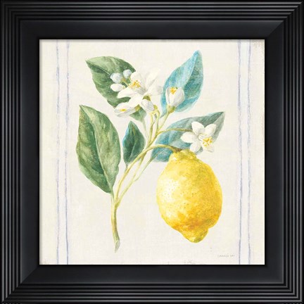 Framed Floursack Lemons I Sq Navy Print