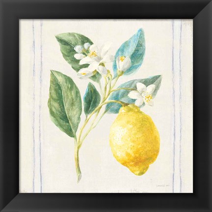 Framed Floursack Lemons I Sq Navy Print