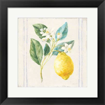 Framed Floursack Lemons I Sq Navy Print