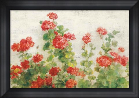 Framed Red Geraniums on White v2 Print