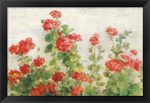 Framed Red Geraniums on White v2 Print