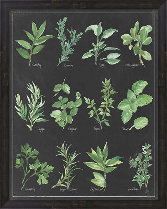 Framed Herb Chart on Black White Border Print