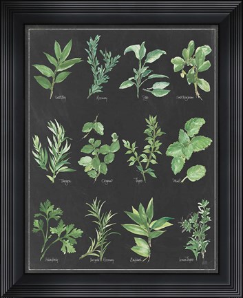Framed Herb Chart on Black White Border Print