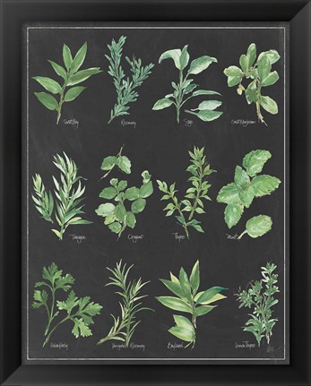 Framed Herb Chart on Black White Border Print