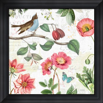 Framed Studio Botanicals II Print