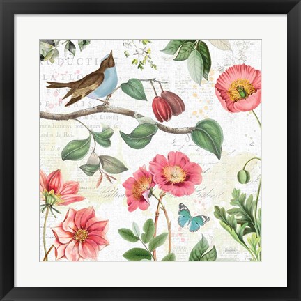 Framed Studio Botanicals II Print