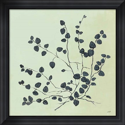 Framed Botanical Study VII Sage Print