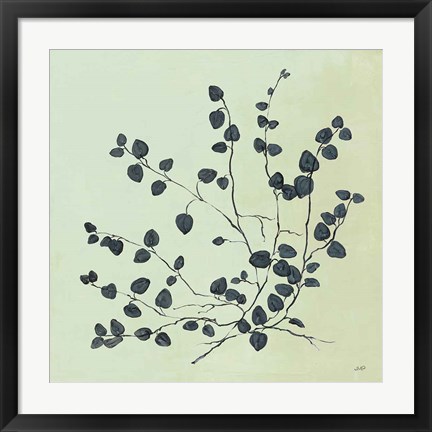 Framed Botanical Study VII Sage Print