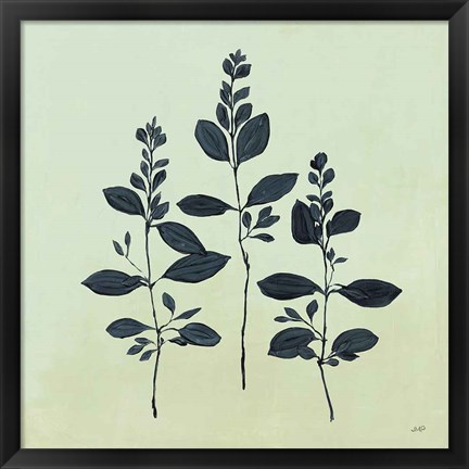 Framed Botanical Study IV Sage Print