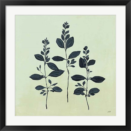 Framed Botanical Study IV Sage Print