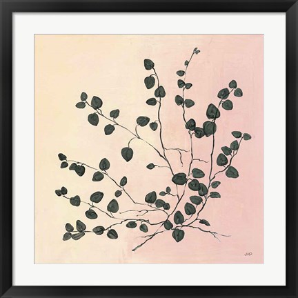 Framed Botanical Study VII Blush Print