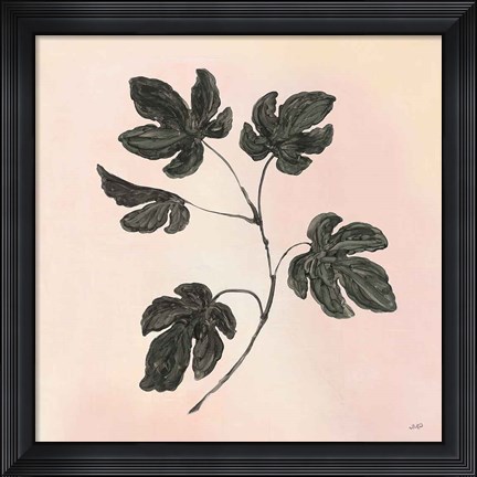Framed Botanical Study III Blush Print