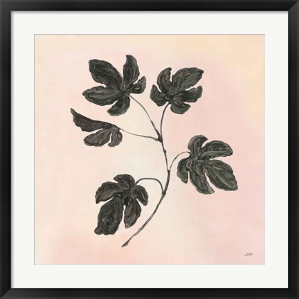 Framed Botanical Study III Blush Print