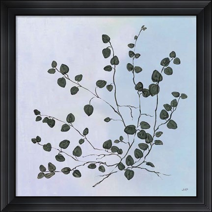 Framed Botanical Study VII Blue Print