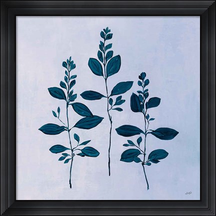 Framed Botanical Study IV Blue Print