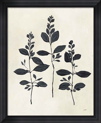 Framed Botanical Study IV Print