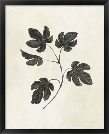 Framed Botanical Study III Print