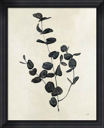 Framed Botanical Study II Print