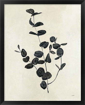 Framed Botanical Study II Print